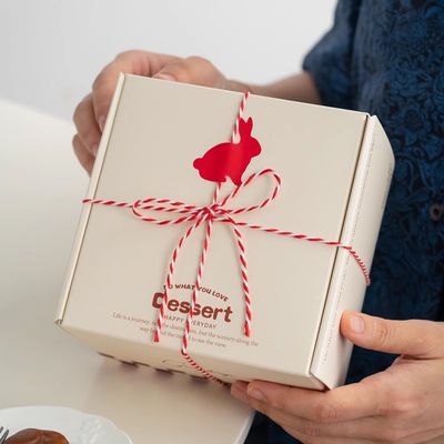 Faça você mesmo 2 fios de cordão torcido 550 libras 2 mm de algodão Macrame Cordão