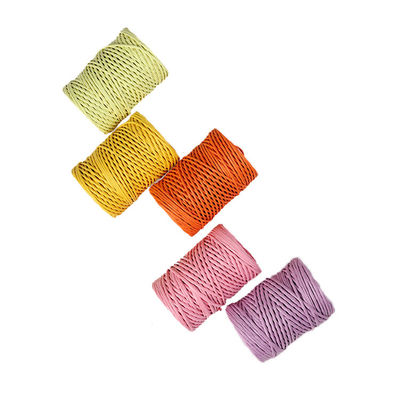 Fios de ferro 2 mm Cordo de papel Eco DIY Cordo de papel torcido biodegradável